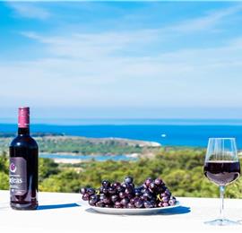 4 bedroom villa with infinity pool and sea view in Perithia, Corfu, sleeps 9